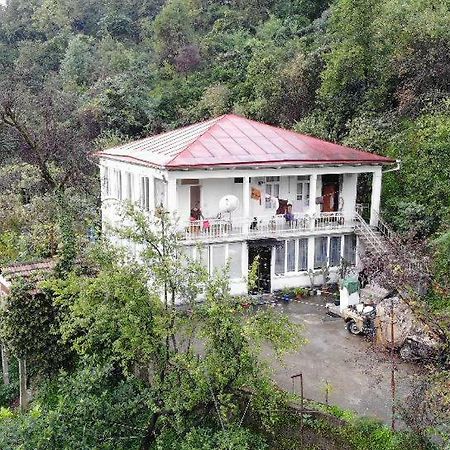 Guest House And Cellar Winery In Ortabatumi Batumi Georgia Екстер'єр фото