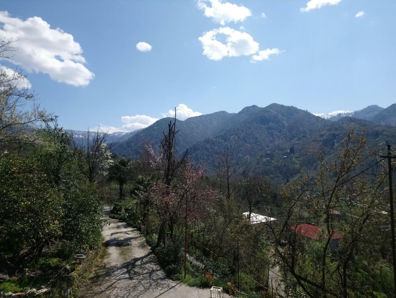 Guest House And Cellar Winery In Ortabatumi Batumi Georgia Екстер'єр фото