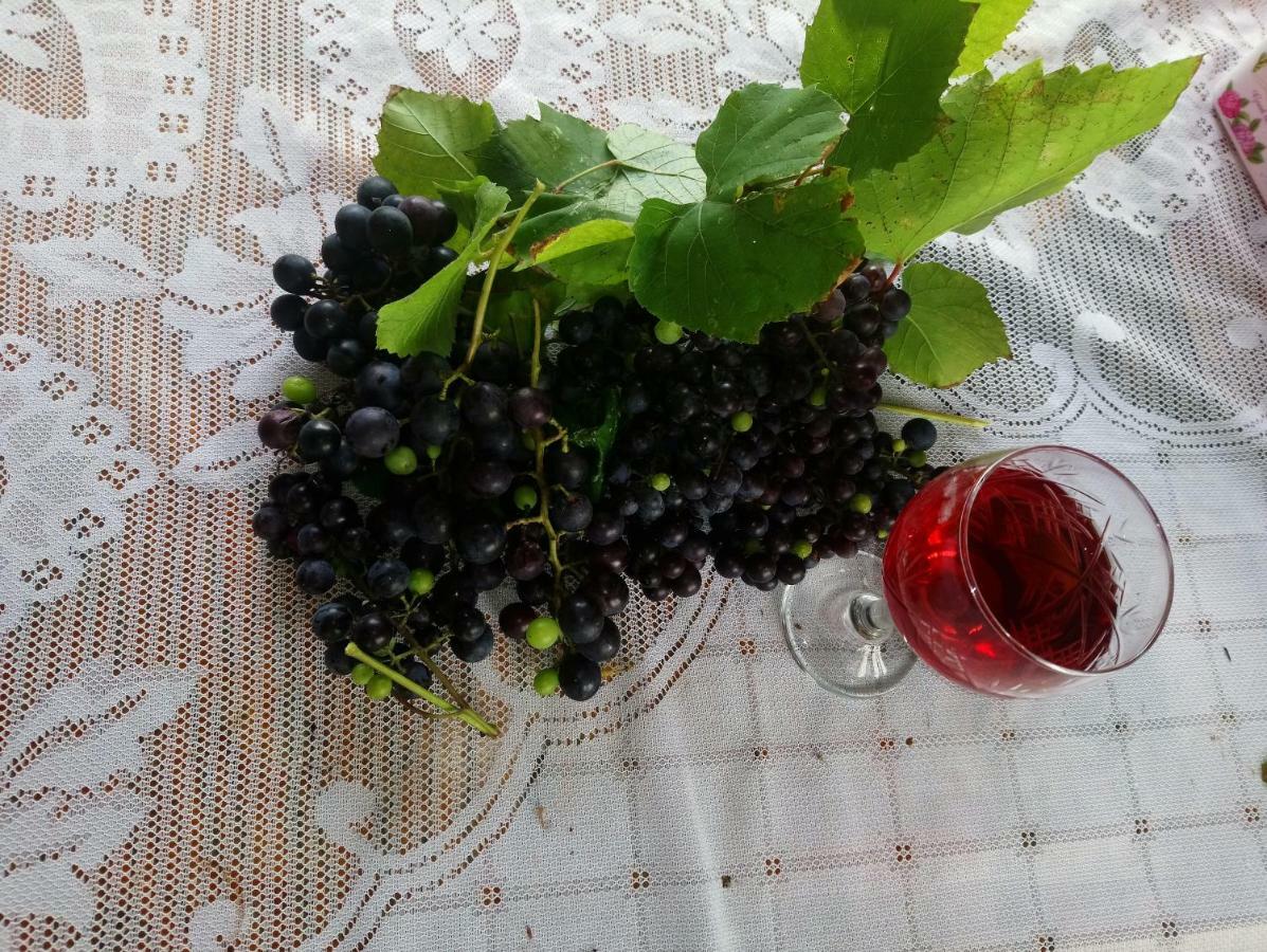 Guest House And Cellar Winery In Ortabatumi Batumi Georgia Екстер'єр фото