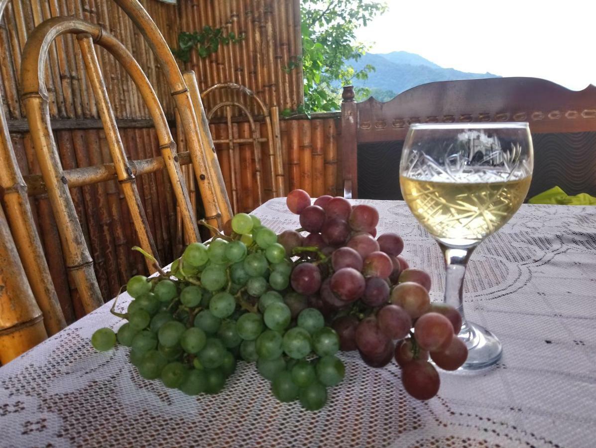 Guest House And Cellar Winery In Ortabatumi Batumi Georgia Екстер'єр фото