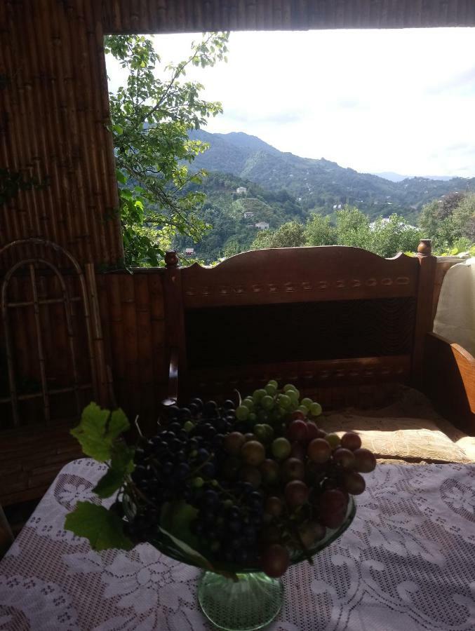 Guest House And Cellar Winery In Ortabatumi Batumi Georgia Екстер'єр фото